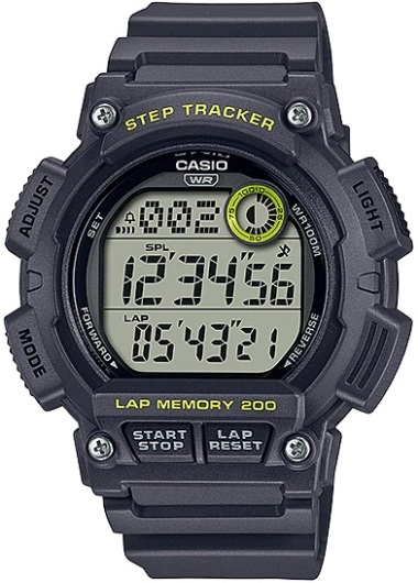 WS2100H-8AV